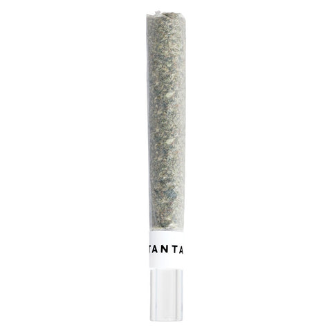 Photo Mai Tai x Zero Gravity Glass Tip Pre Roll