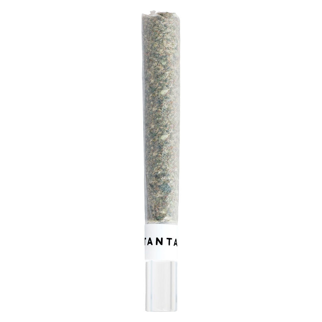 Mai Tai x Zero Gravity Diamond Infused Glass Tip Pre-Roll - 