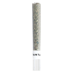 Photo Mai Tai x Zero Gravity Diamond Infused Glass Tip Pre-Roll