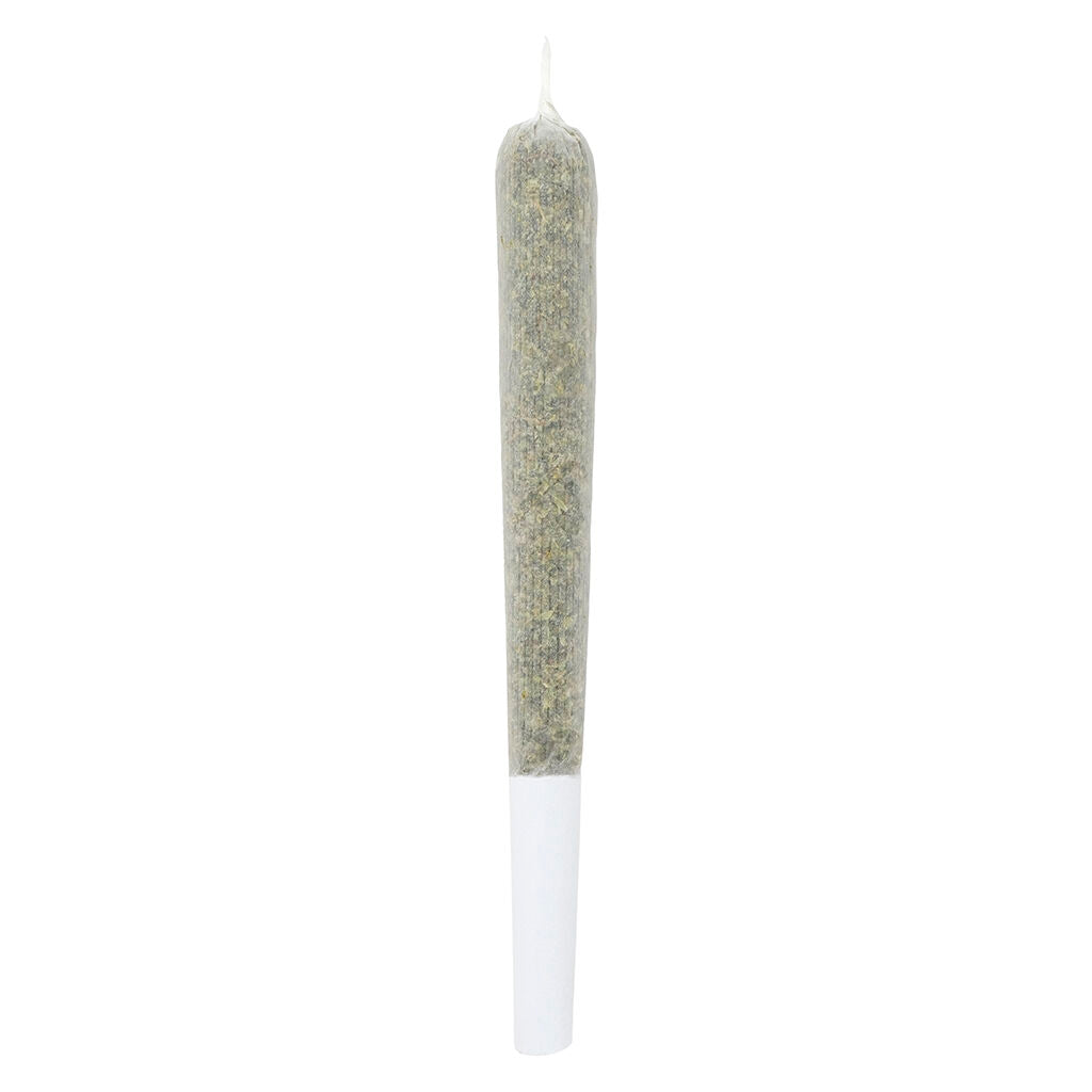 Kush Cake Shatter Infused Pre-Roll - 