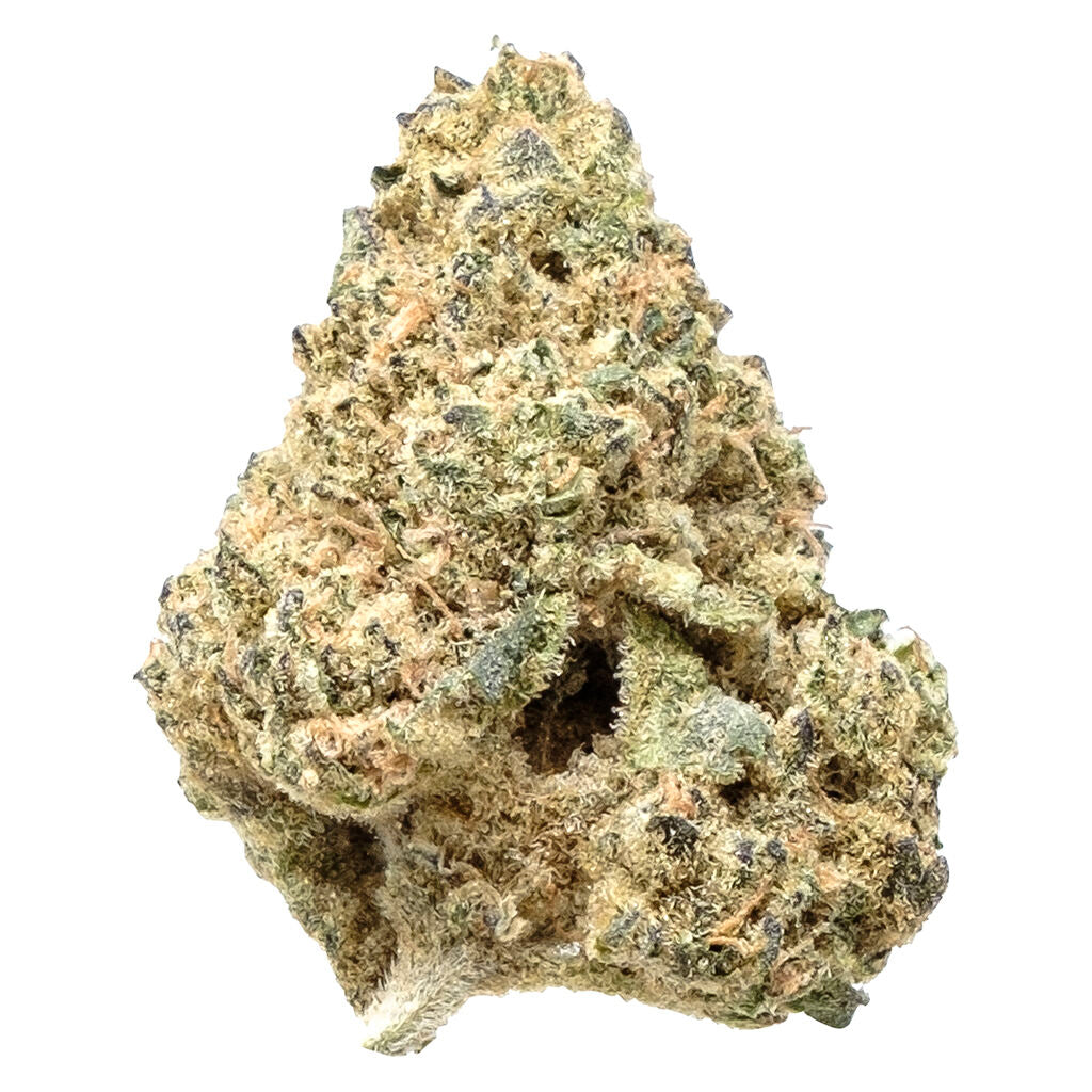 Sativa - 