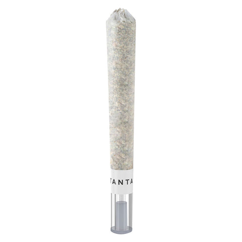Photo Horchata ULTRA MAX Diamond Infused Glass Tip Pre-Roll