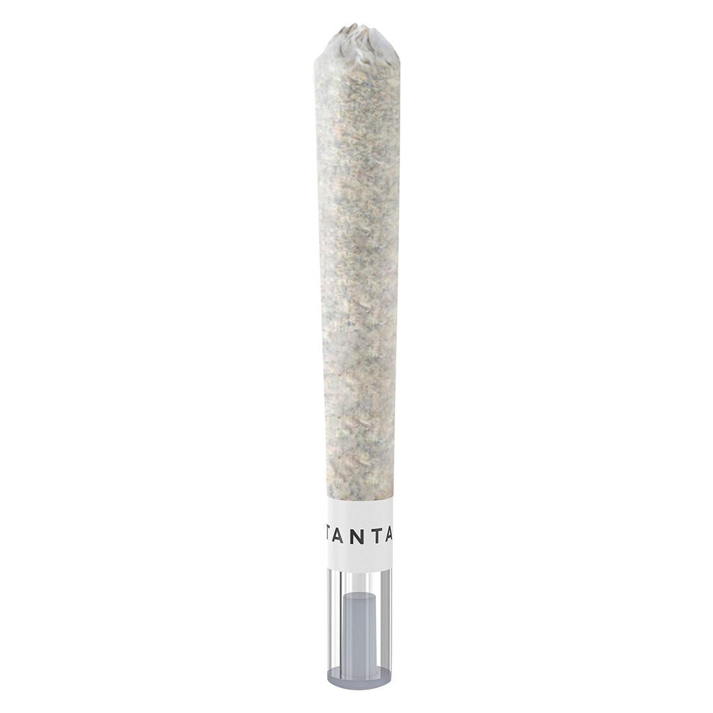 Animal Sundae Glass Tip Pre-Roll - 