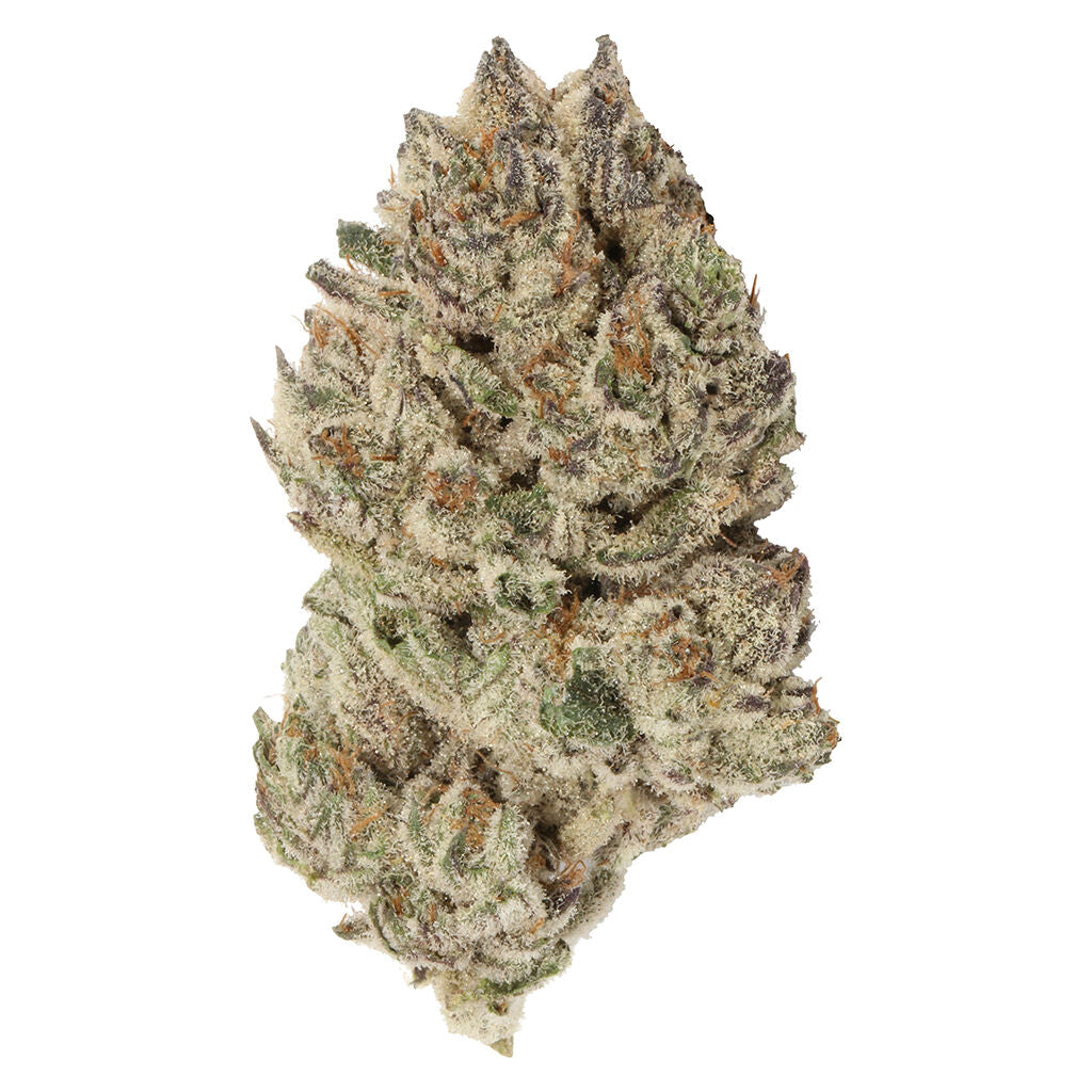 Black Diamond X - 