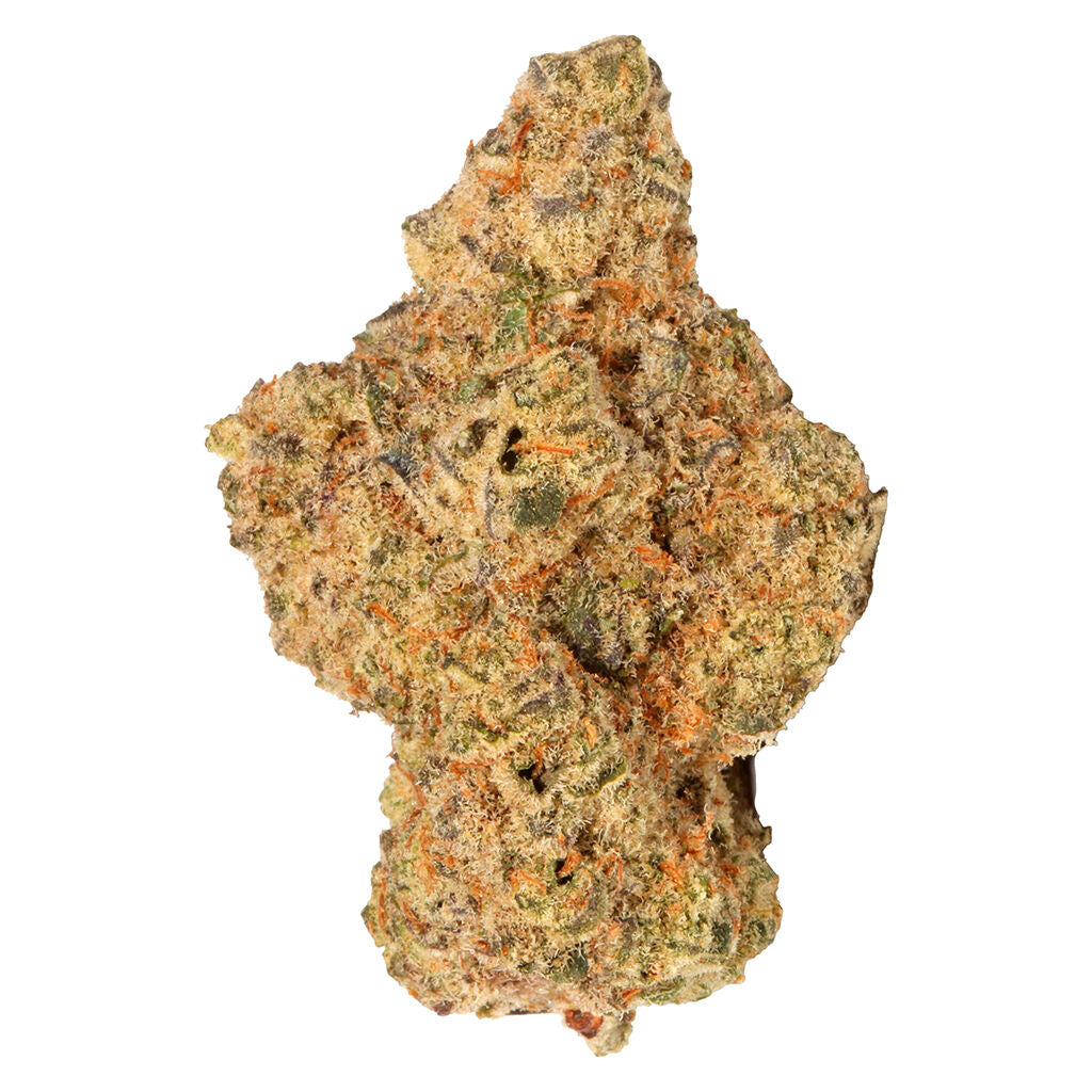 Georgia Cream - 