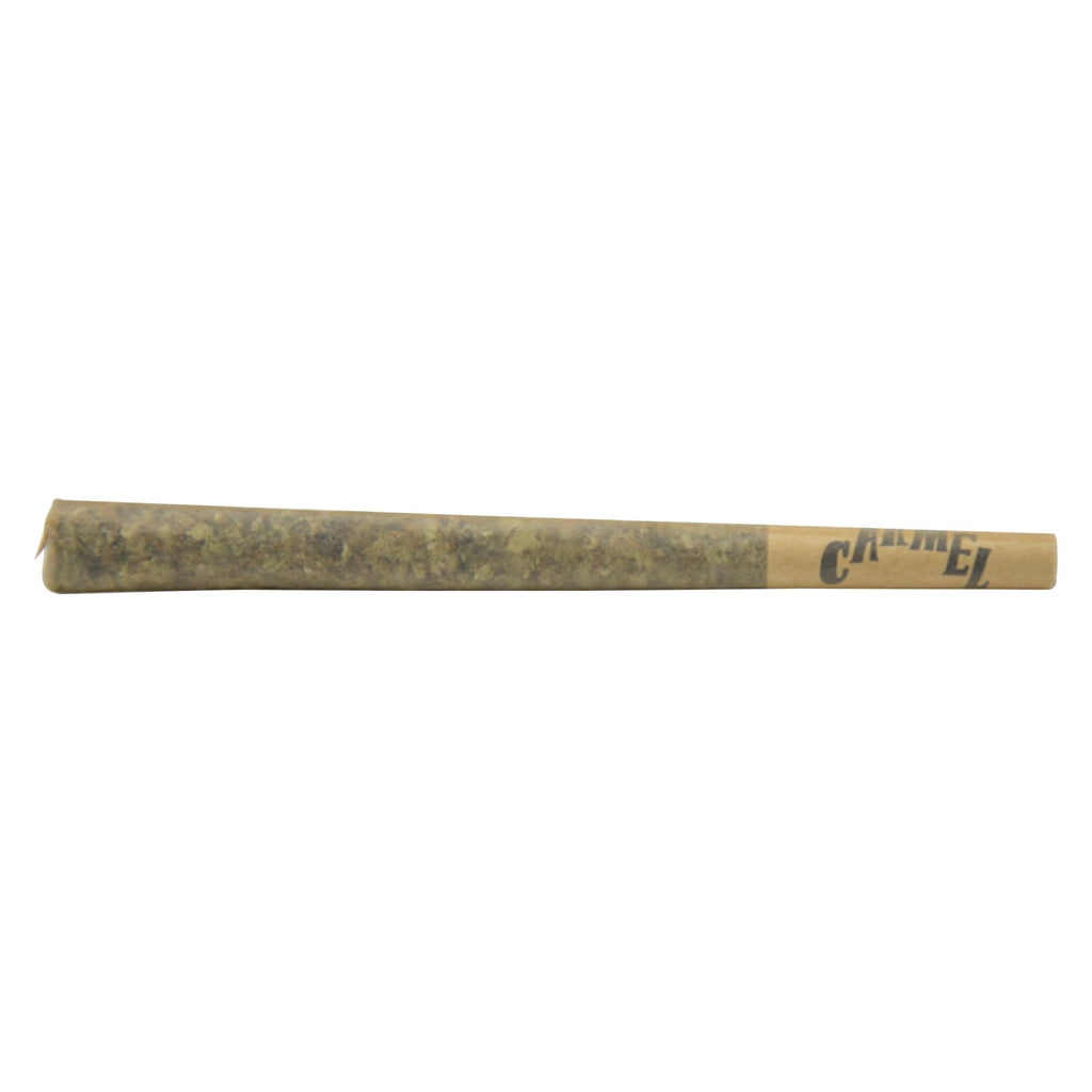 Studio 54 Solventless Infused Pre-Roll - 