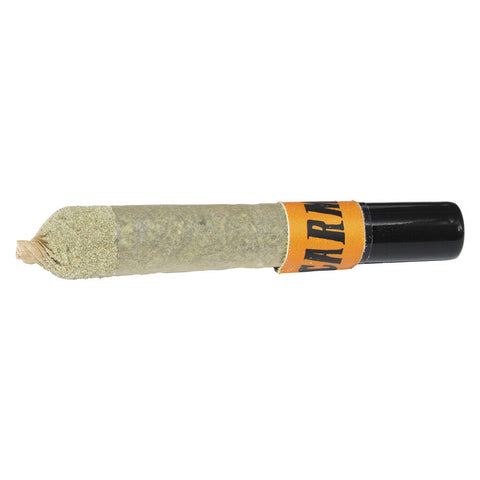 Photo Envy Ceramic Tip Infused Pre-Roll