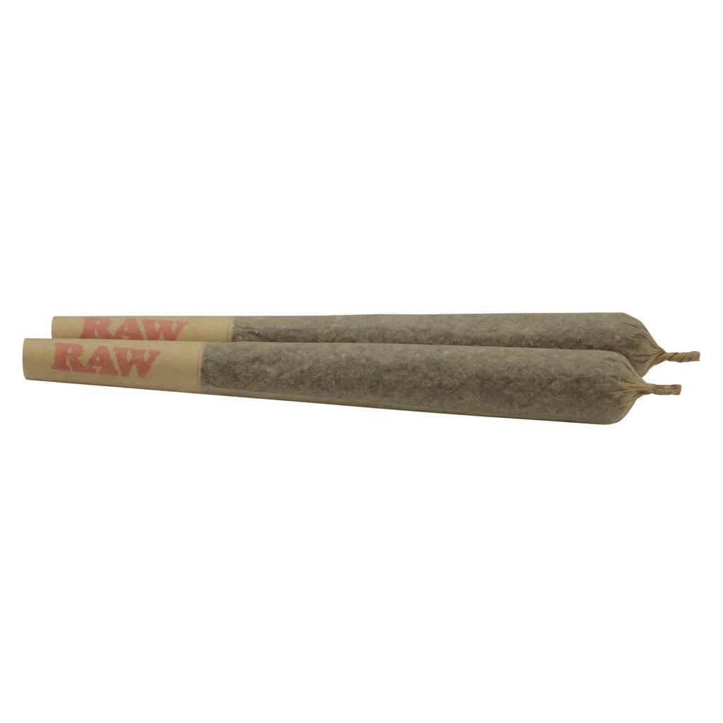 Larry the Purple Alien Pre-Roll - 