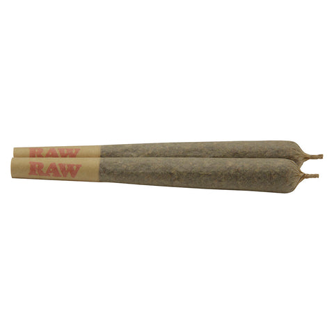 Photo Lit OG Pre-Roll