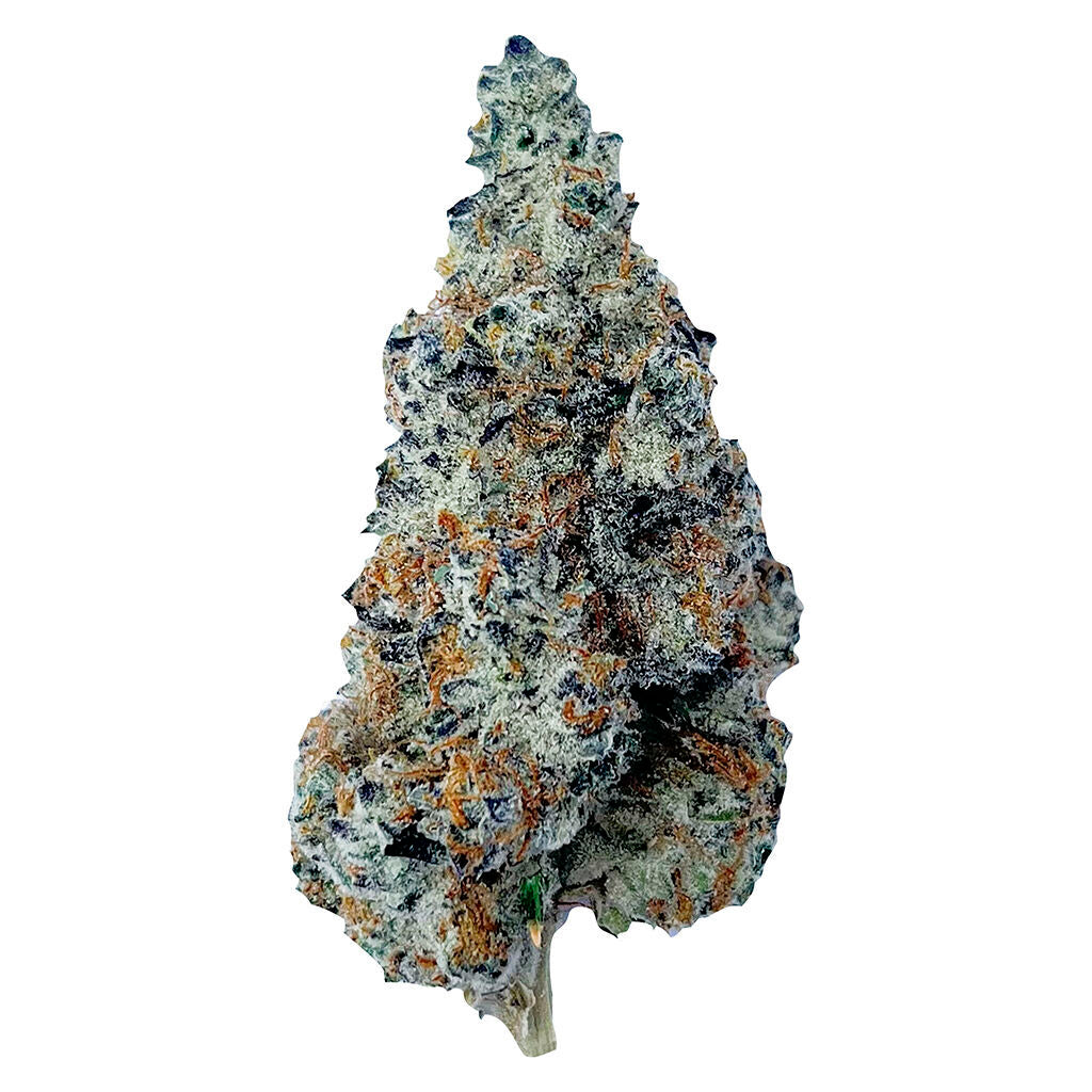 Slurriboof Whole Flower - 