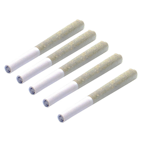 Level 2 Balanced Pre-Roll Photo