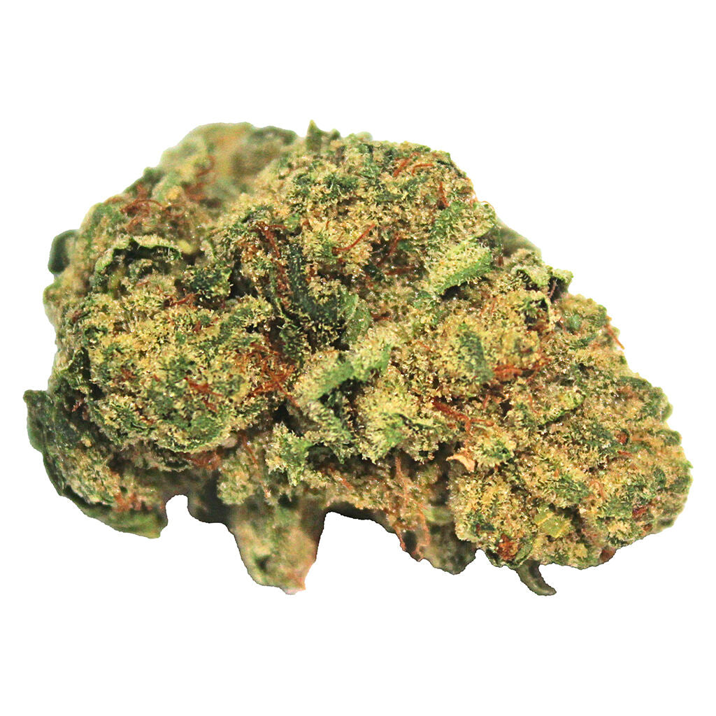 Hash Plant - 
