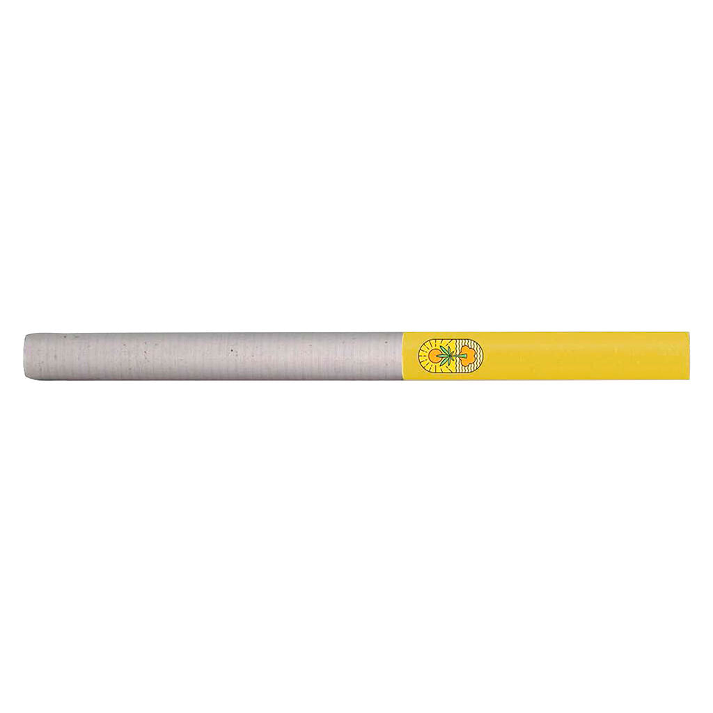 Préroulé Amnesia Haze