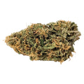 Amherst Sour Diesel