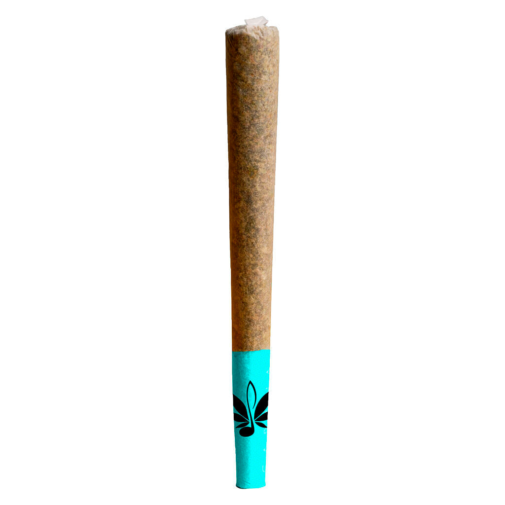 The Blues Pre-Roll - 