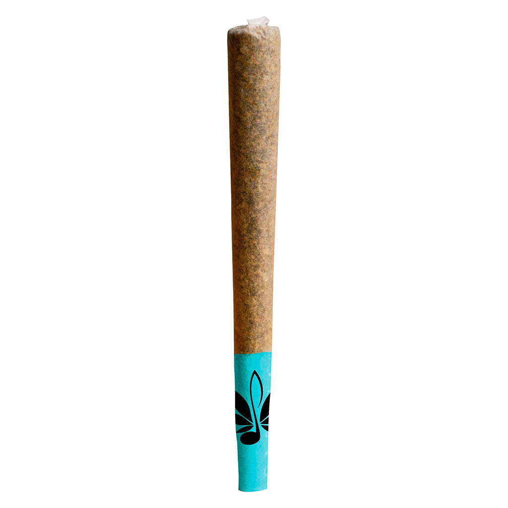 The Blues Pre-Roll