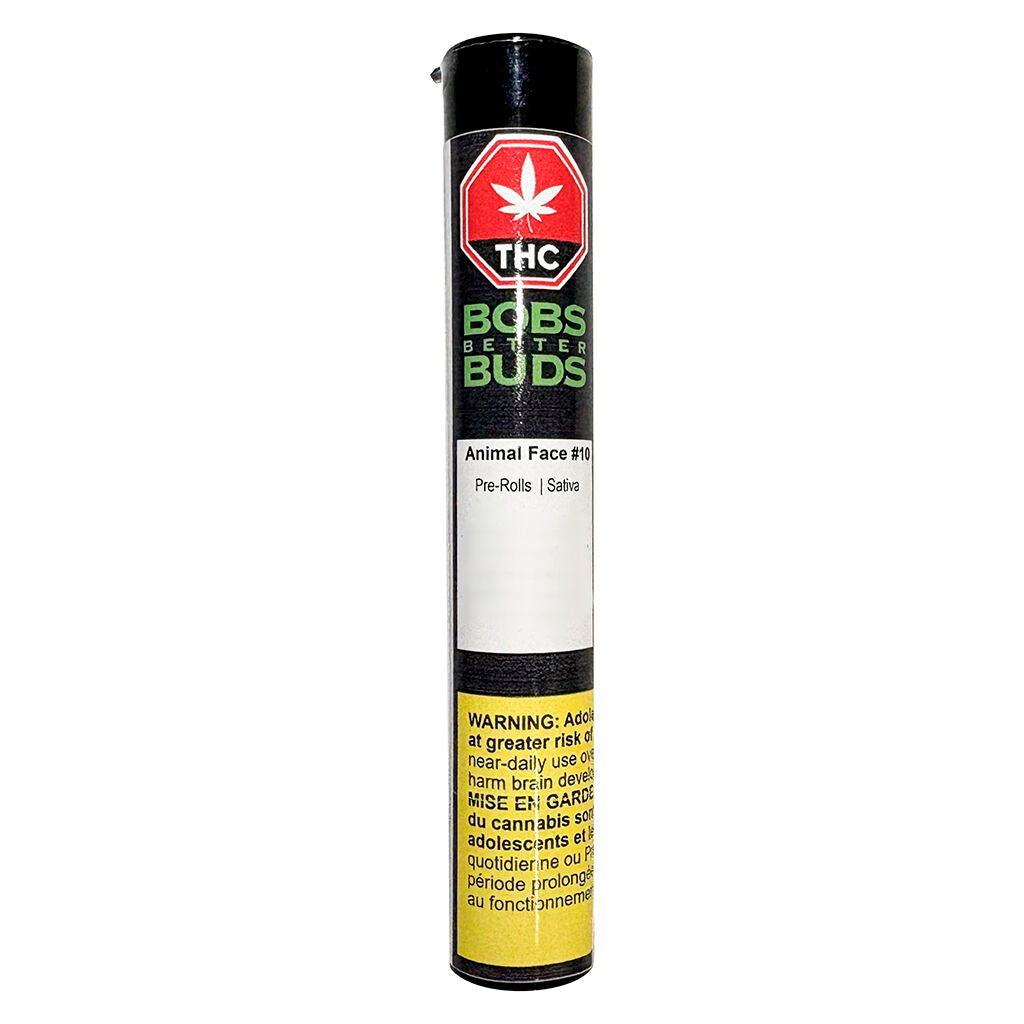 Animal Face #10 Pre-roll - 