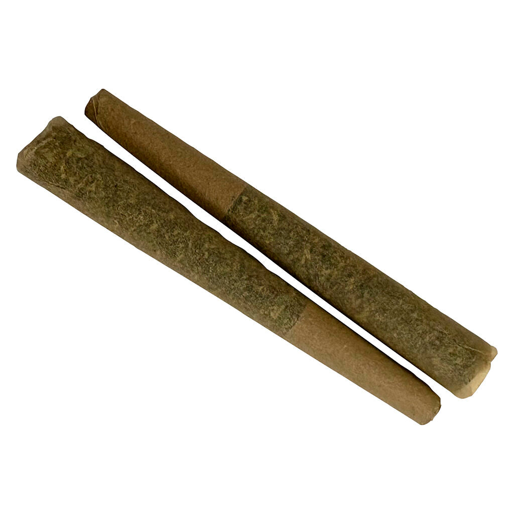 Animal Face #10 Pre-roll - 