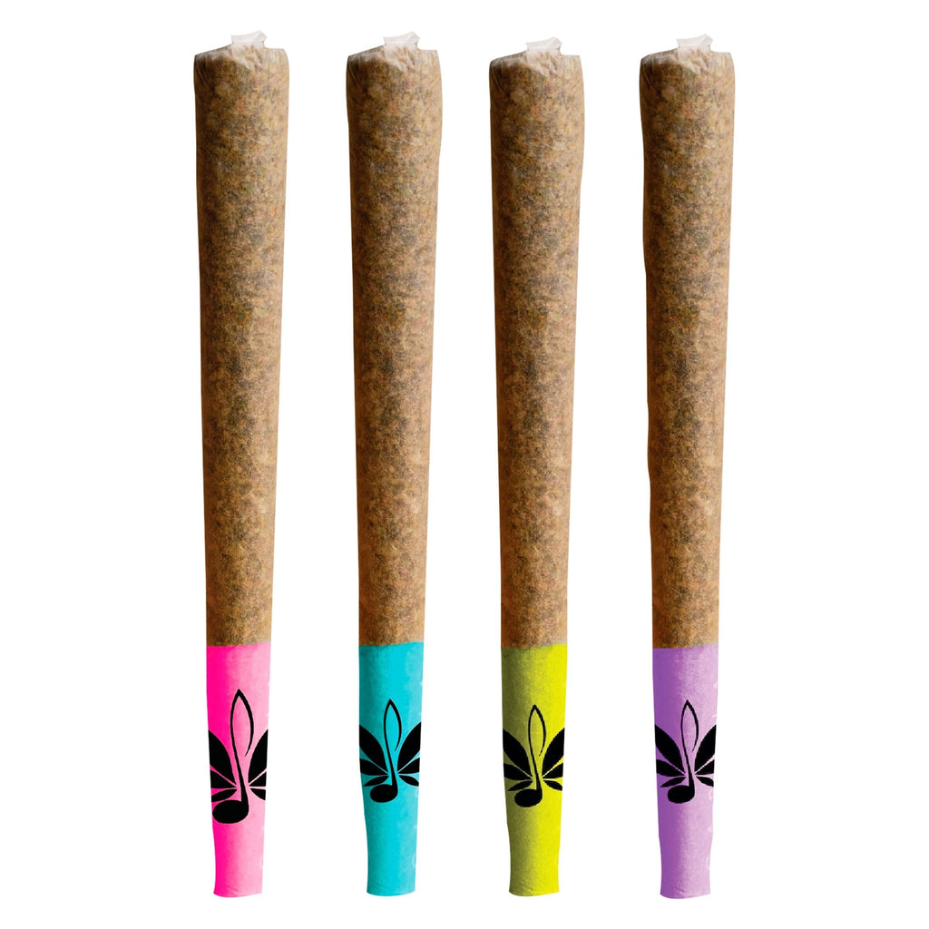 Shuffle 4-Pack of J's - 