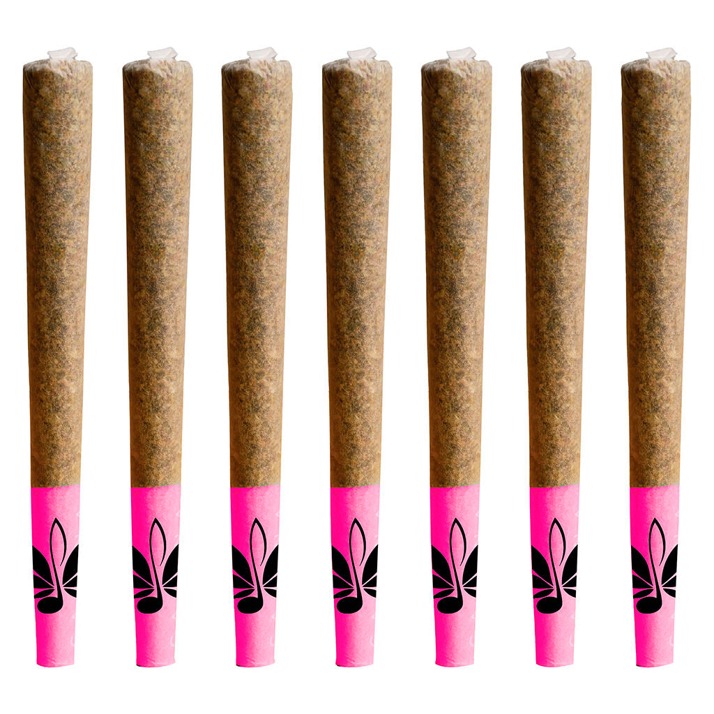 Black Gas Pre-Roll Pack