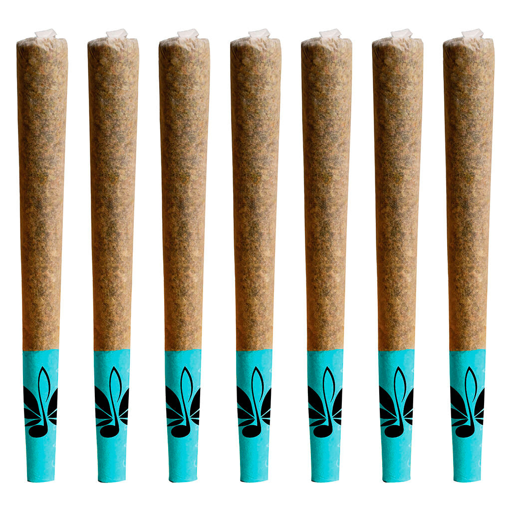 The Blues Pre-Roll - 