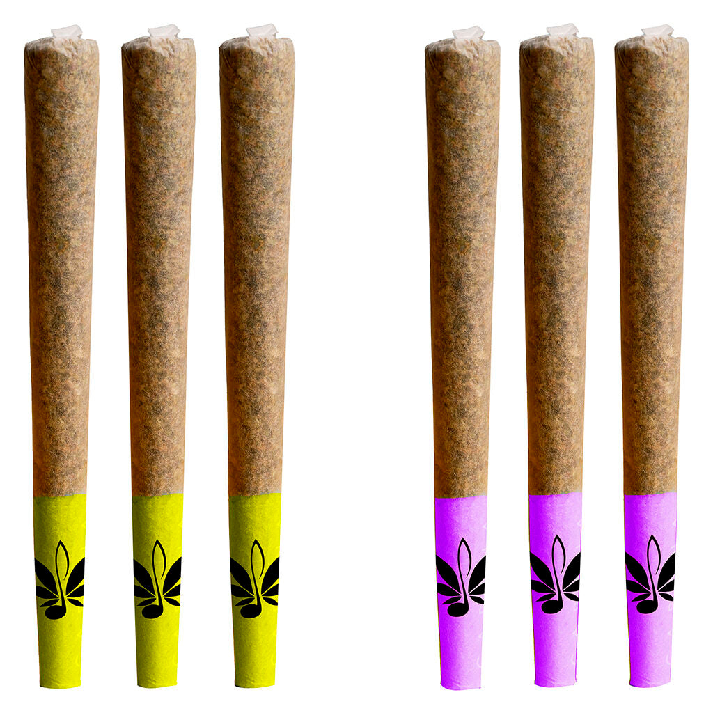 Day & Night Mixed Pack of Js Pre-Roll