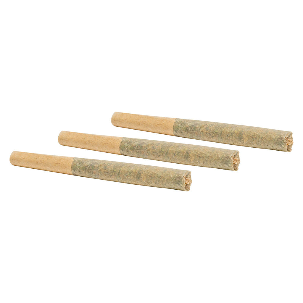 Exotics Pre-Roll - 