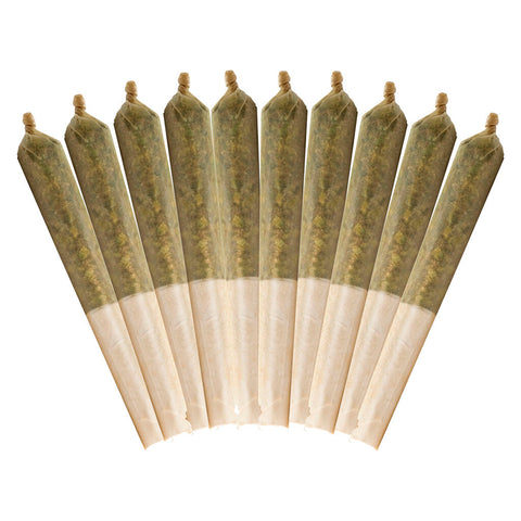Photo 10th Planet Pre-Rolls