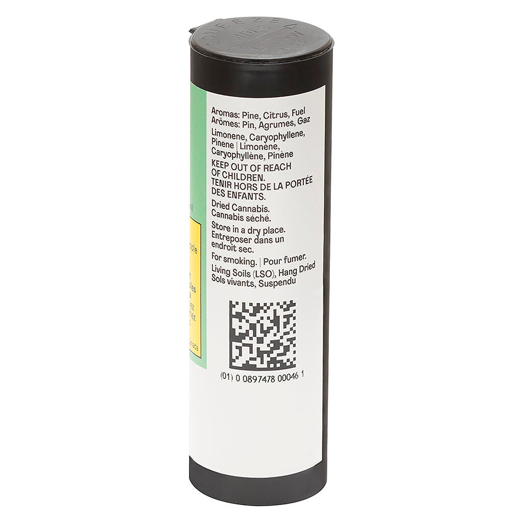 Gluerangutan Pre-Roll - 