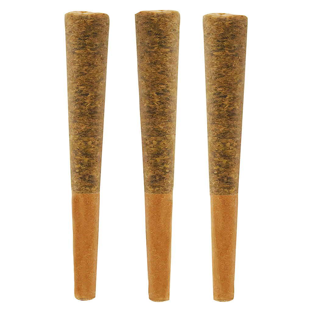 Jungle Fire Pre-Roll - 