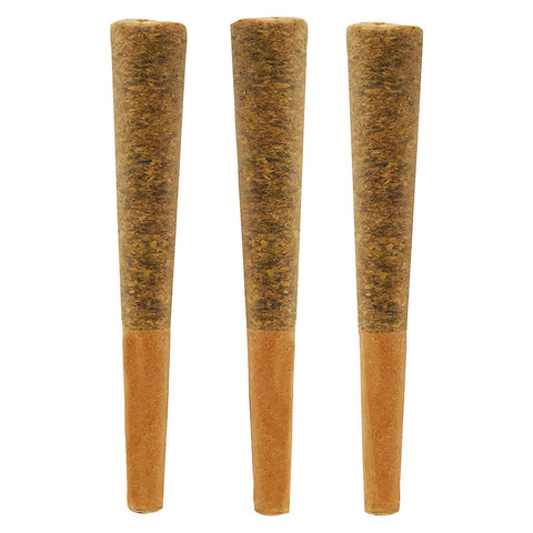 Photo Jungle Fire Pre-Roll