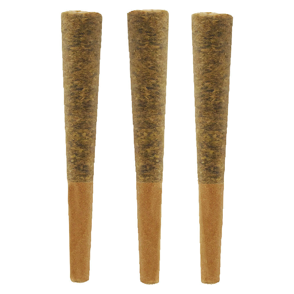 Dreams Pre-Roll