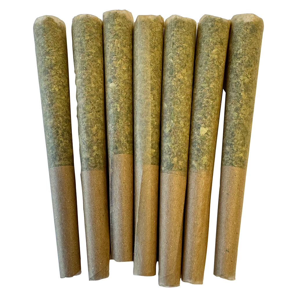 Profile -tropical Pre-roll - 