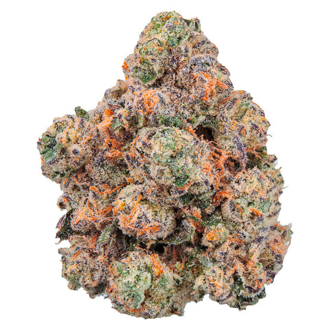 Photo Lobster Royale