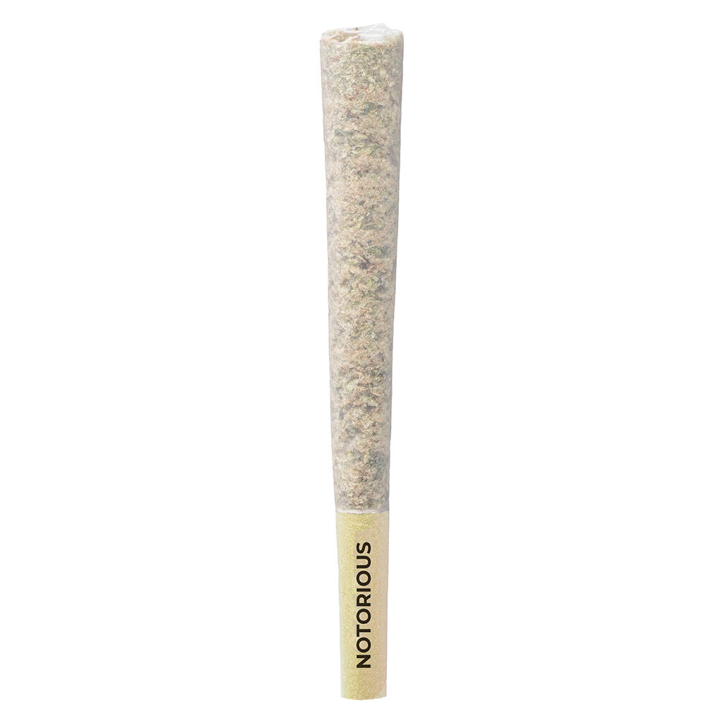 Notorious Pre-Roll - 
