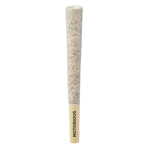 Photo Notorious Pre-Roll
