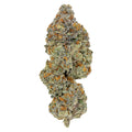 LSO Collection: Blueberry Vendetta