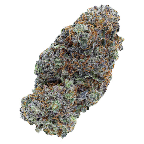 Photo LSO Collection: Blueberry Vendetta