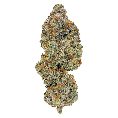 Photo LSO Collection: Blueberry Vendetta