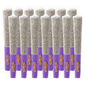 Dream Catcher Pre-Roll