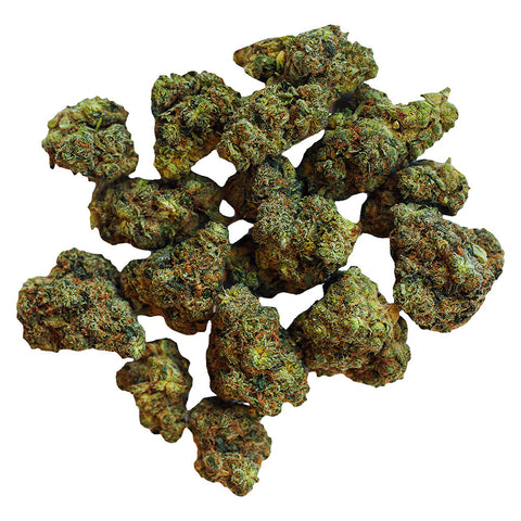 Photo Root Beer Float