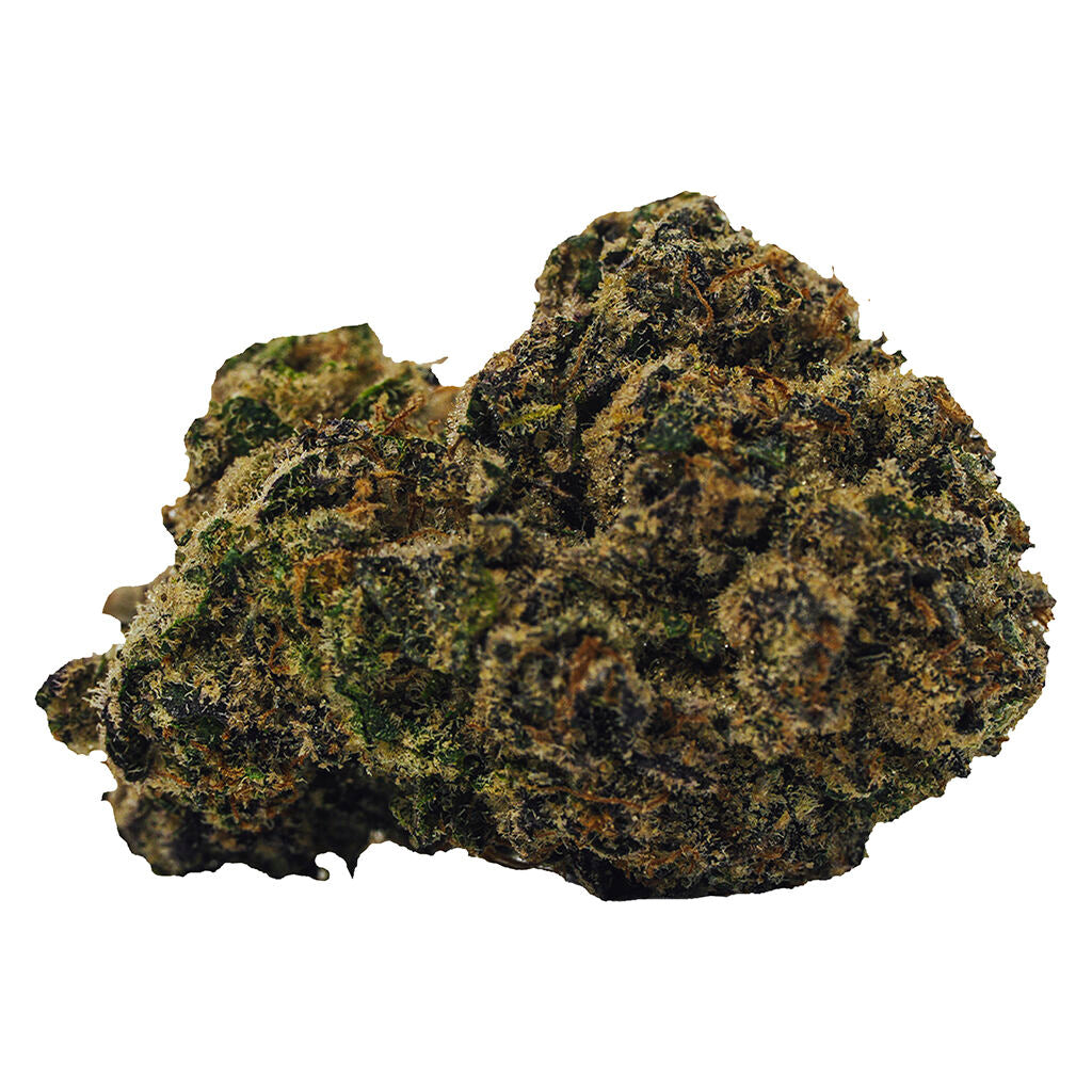 Rocket Fuel - 