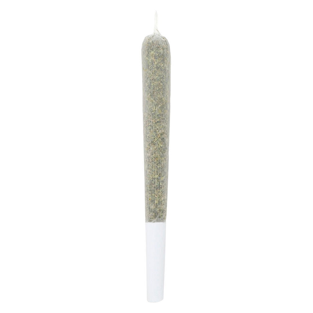 Black Cherry Soda Pre-Rolled Craft Cannabis - 