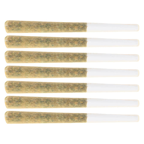 Photo Craft Batch Pre-Roll