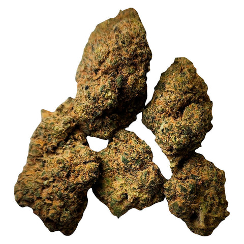 Photo Desert Bloom
