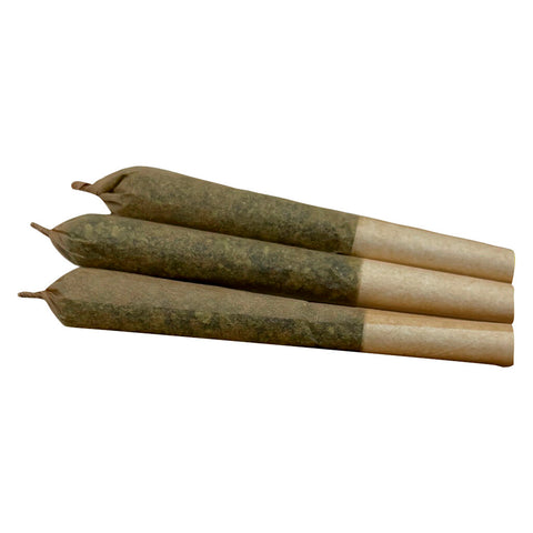 Photo Gramz Pre-Roll
