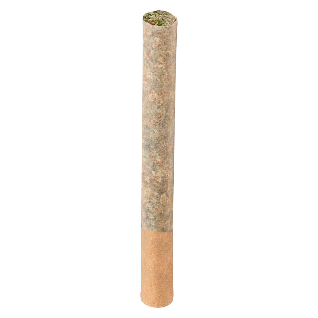 BC ORGANIC (LSO) MAPLE BLIZZARD Pre-Roll - 
