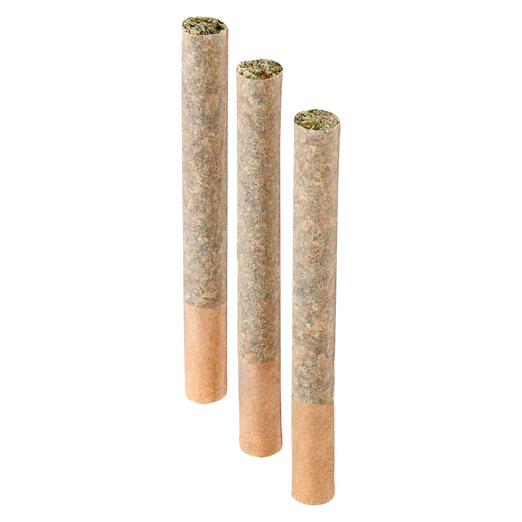BC ORGANIC (LSO) CARIBOO STARS Pre-Roll - 