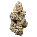 Tropic Fuel