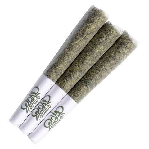 Photo Rainbow Sherb 11 Pre-Roll